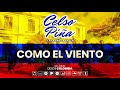 Celso Piña Y Su Ronda Bogotá - Como El Viento (Audio Oficial)