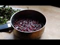 Hawthorn Berry Herbal Medicine Making | Oxymel & Syrup