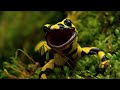 Wild Germany - Rivers and Lakes | Nature Documentary Final Episode