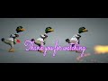 small ducks dancing ( ទាតូចៗរាំលេងកំសាន )