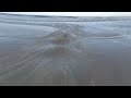 Ocean Low Tide Marine Life, Daytona Beach Florida, Ocean Flow Sea, Shorline Channeling, calm waves