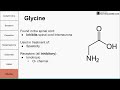 Neurotransmitters of the human body