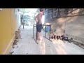 Planche Intermediate level top 5 exercises#myanmar #calisthenics #planche