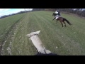 Gopro Horse Gallop -- Fox Heath Hunter Pace