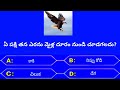 gk questions and answers in telugu |general questions and answers in telugu|general gk questions