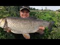 Chub Fishing - Summer Stalking - A New Season! (Video 165)