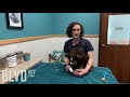 BLVD Vet How To: Liquid Oral Medication for Pets