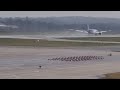 Planespotting at Gatwick Airport