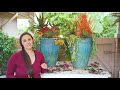 Planting Large Pots with Succulents