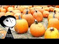 Where Halloween Town Exists... on EARTH! (The Nightmare Before Christmas)