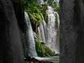 4k Jungle Waterfall Vertical Video - Nature Scenery