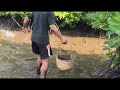 Amazing Catching Crab Near Mangrove forest After Water Low Tide | BONG VATH |