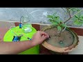 How to make Automatic Plant Watering System using Arduino UNO and Soil Sensor || Techie Lagan