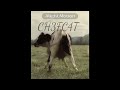 Cows dancing edit (THIRD POST)