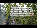 ❤️❤️#statusvideo #malayalamquotes #love #song #foryou