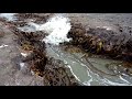 Waves @ The petrified forest, Curio Bay, The Catlins