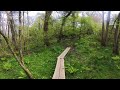 Wet Woodlands at Kew Wakehurst