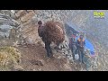 Himalayan Village Life | Snowfall Day | Dolpa | Nepal | Himalayan Kitchen | Real Nepali Life |