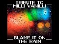 Blame It on the Rain (Instrumental Version)