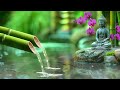 Relaxing Sleep Music + Insomnia: Stress Relief, Relax, Sleep, Spa & Meditation Music, Heart Healing