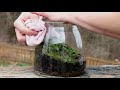 Make a Native Terrarium #withme (Satisfying & Relaxing Build)