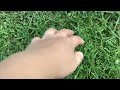 touching grass (real)