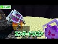 【マインクラフト】モブが落としたお金で『逃走中アプリ』を使える世界で逃走中したらウォーデンも余裕で倒せんじゃね...？