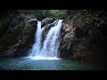 Calm Mountain River flowing in Elk Valley 4k  Relaxing River Sounds, Nature White Noise, 10 Hours