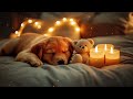 3 Hours of Deeply Relaxing Music for Dogs 🐶 Soothing Tunes to Help Your Pets Fall Asleep!