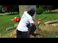 Fastest Cutting Big Tree Skill Chainsaw Machines, Dangerous Stihl Chainsaw Felling Tree Skill