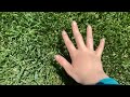 Touchng grass for the first time