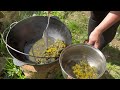 Mountain Life: Collecting and Storing the Spring Aroma of Dandelion