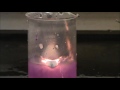 Alkali Metals Reacting with Water