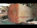 A terrible sawmill action that shows beauty!