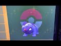 Random shiny video in Pokémon Scarlet and Violet.