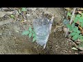 How to Make a Simple Drip Irrigation System From Used Bottles to Increase Yields