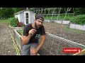 DIY TRELLIS for CUCUMBERS in a RAISED GARDEN BED!