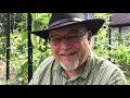 Crop Rotation in a Small Garden - Yes or No? || Black Gumbo