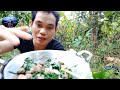 OLAHAN JAMUR MERANG  DAN DAUN KATUK BIKIN LAHAP MAKAN@MARIBERBAGI21