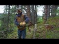 Spring Snowstorm Cleanup on the Ranch