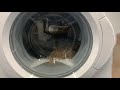 Bosch WAE28366GB 6kg Washing Machine Going Through A 15 Minute Cycle With Towels