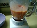 Oster Fusion blender salsa recipe making