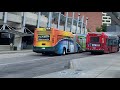 WMATA and Montgomery County Transit Ride-On Bus Compilation at Silver Spring station Part 2