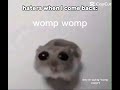 sad hamster meme