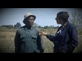 The Dark side of Science: The horror of the Tuskegee Syphilis Experiment (Short Documentary)