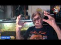 The Truth About Natural Deep Substrate Dirted Aquariums