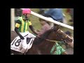 「新時代の扉をこじ開けたのは内国産馬ジャングルポケット」【日本ダービー2001】