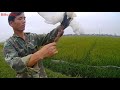 Hành Trình Theo Chân Thợ Bẫy Cò P2- Bẫy cò trên cánh đồng/Amazing Trapping storks top On the Filed