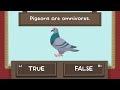 The pigeon quiz…