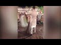 Mehreen Pirzada Dance with Her Fiance Bhavya Bishnoi in Engagement Party | ISPARKMEDIA